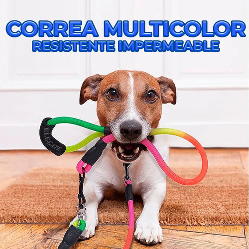Correa Resistente Y Antitirones Para Perros Medianos Y