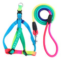 Set de arnes para perro y correa con diseño cómodo talla