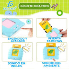 Juguetes Educativos De Tarjetas En Inglés Con 112 Palabras