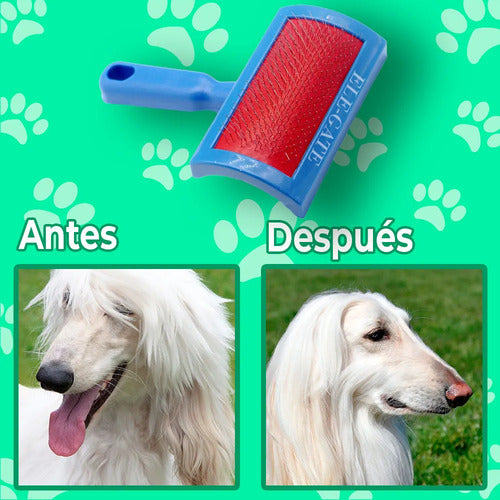 Cepillo Cardina Para Perro Y Gato Con Puntas Protegidas