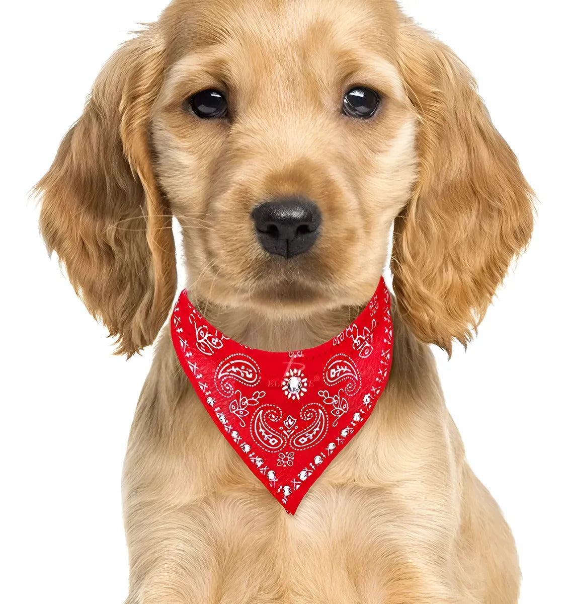 Accesorio Para Mascotas Con Forma De Pañoleta Poliéster Negro Bandana