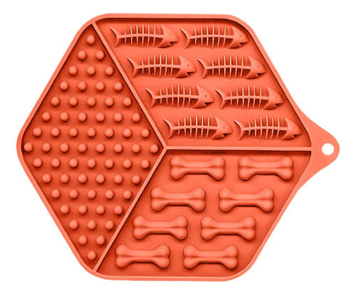 Plato Con Textura Ideal Para Comida Húmeda Verde