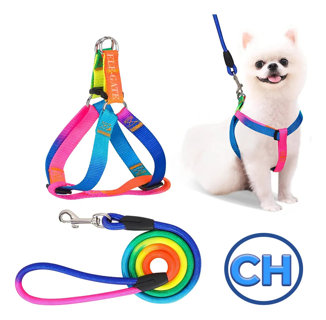 Juego De Arnés Y Correa Para Mascota Talla S