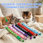 Collar Para Gato Con Campana Diseño Único Y Separable