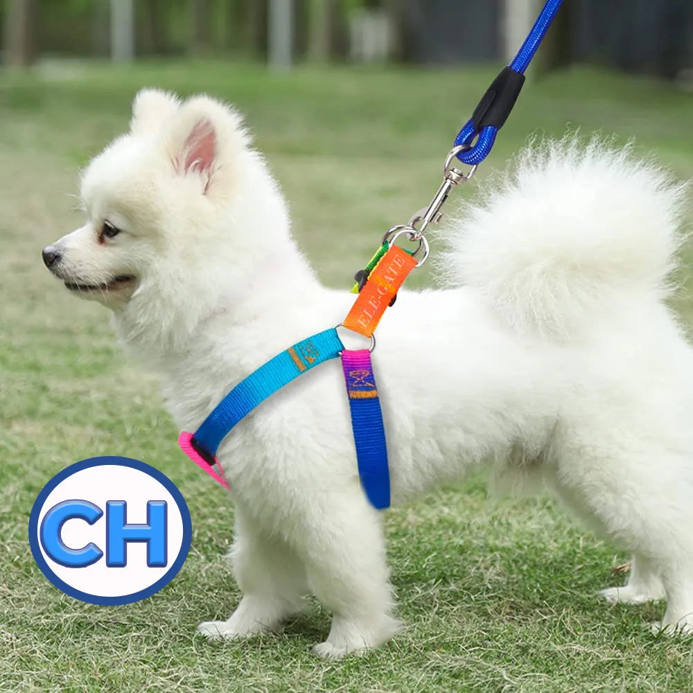 Juego De Arnés Y Correa Para Mascota Talla S