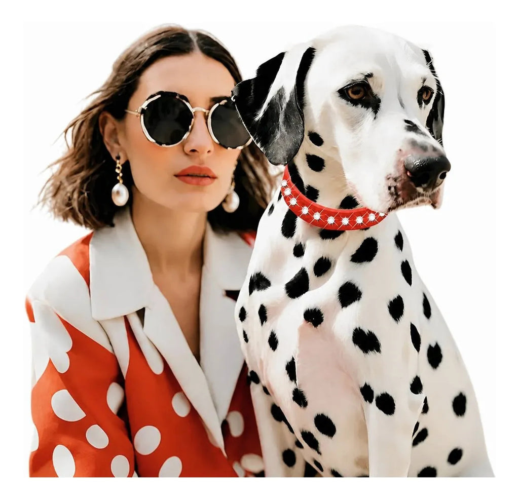 Collar Para Mascotas Grandes Ajustable Con Diamantes De
