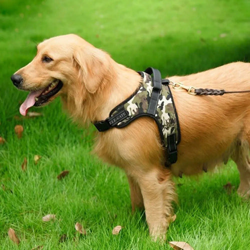 Pretal Reforzado Para Perros Grandes Talla L