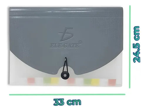 Folder Organizador A4 Con Separadores De Colores