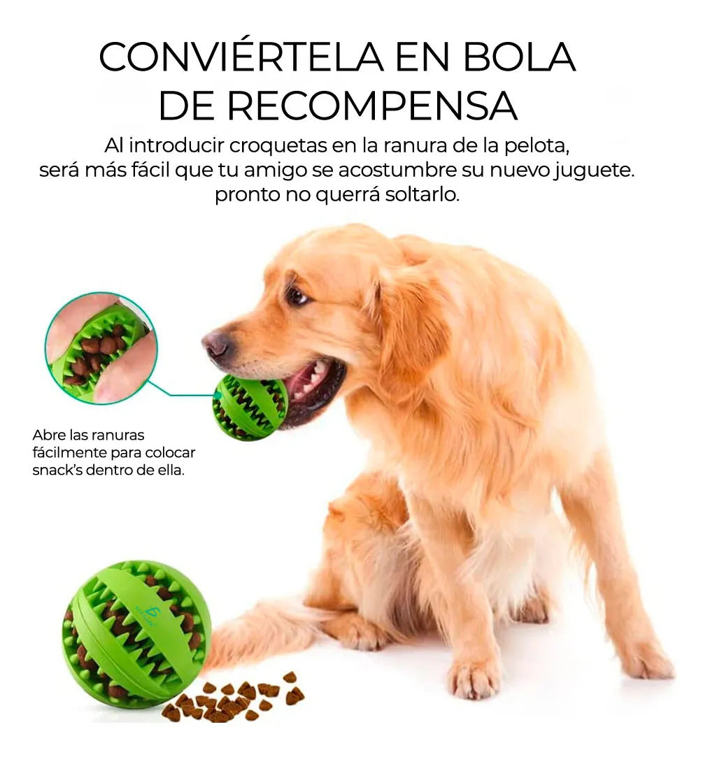 Comedero Para Perros Y Gatos De Juguete Para Mascotas