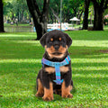 Arnés Para Perros Pequeños Con Correa Circular