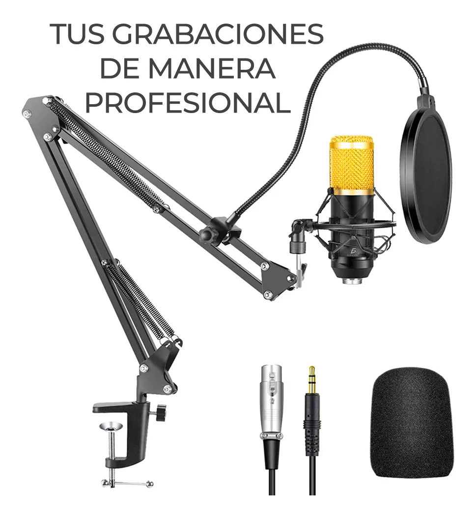 Kit Profesional Microfono Condensador Grabación Estudio Ktv