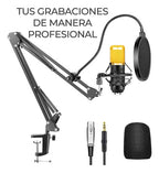 Kit Profesional Microfono Condensador Grabación Estudio Ktv