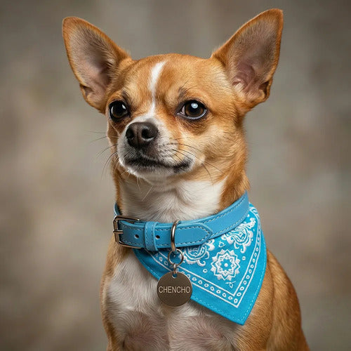 Collar Con Paliacate Elegante Y Ajustable Para Mascotas