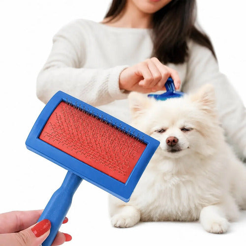 Cepillo Cardina Para Perro Y Gato Con Puntas Protegidas