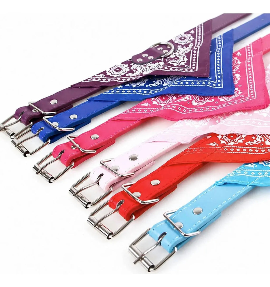 Collar Con Paliacate Elegante Y Ajustable Para Mascotas