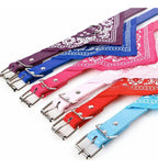 Collar Con Paliacate Elegante Y Ajustable Para Mascotas