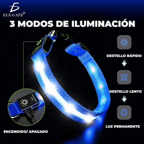 Collar Para Perro Gato Mascota Iluminado Con Luz Led Forma M