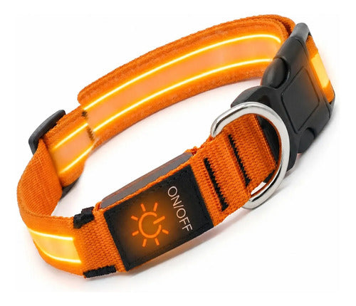 Collar para perro gato mascota iluminado con luz LED forma M