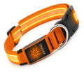 Collar para perro gato mascota iluminado con luz LED forma M