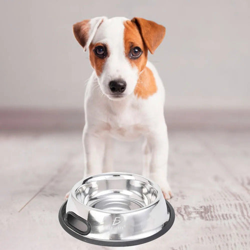 Platon Para Mascotas De Acero Inoxidable Antideslizantes