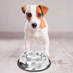 Platon Para Mascotas De Acero Inoxidable Antideslizantes