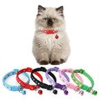 Collar Para Gato Con Campana Diseño Único Y Separable