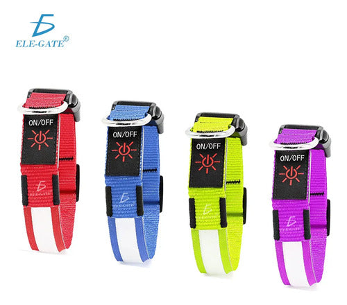 Collar Para Perro Gato Mascota Iluminado Con Luz Led Forma M