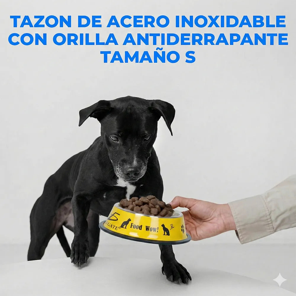 Cuenco de acero inoxidable para mascotas con base amarillo