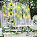 Guirnalda De Luz Led Cálida Con 10 Brazos Con Cable Usb Blanco