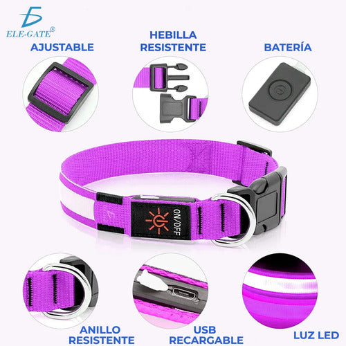Collar Para Perro Gato Mascota Iluminado Con Luz Led Forma M
