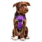 Arnés para perro cómodo y ajustable con asa y chaleco