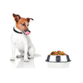 Platon para mascotas de acero inoxidable antideslizantes