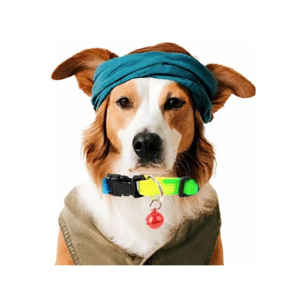 Collar ajustable de colores degradados para mascotas