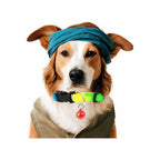 Collar ajustable de colores degradados para mascotas