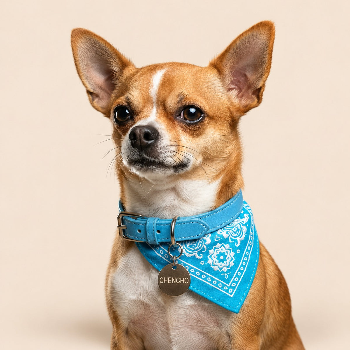 Collar con paliacate elegante y ajustable para mascotas