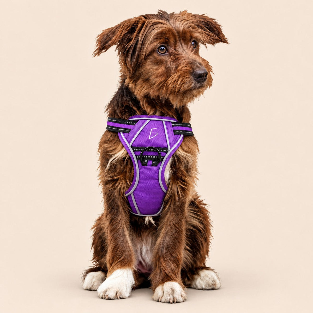 Arnés para perro cómodo y ajustable con asa y chaleco