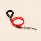 Correa de nailon resistente para perros de 2 metros