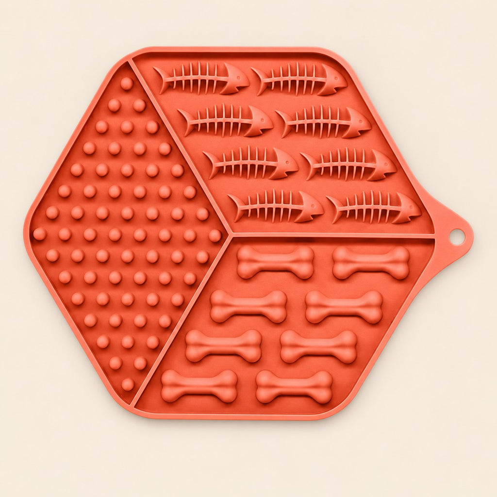 Plato con textura ideal para comida húmeda
